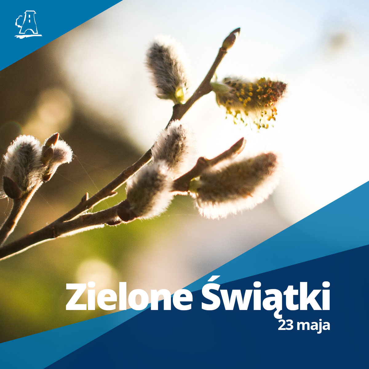 zielone-swiatki
