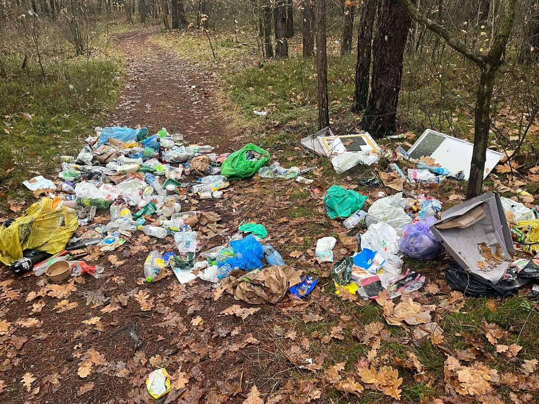 Dzikie wysypisko przy ul. Borkowej w Porębie