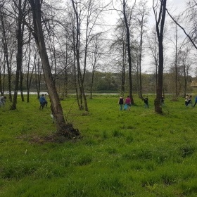 Dzień Ziemi (5)
