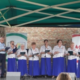 Zobaczcie, jak wyglądały tegoroczne dożynki (7)