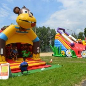 Orlik - Piknik (4)